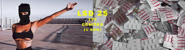 spice Абинск