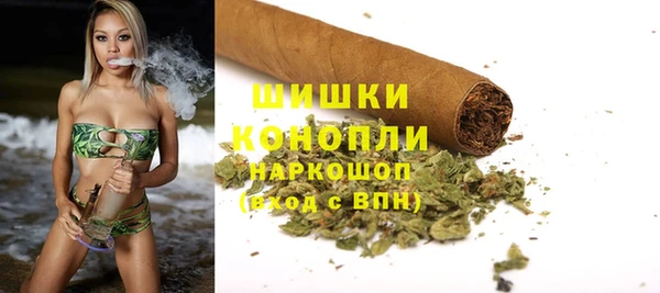 дживик Абаза