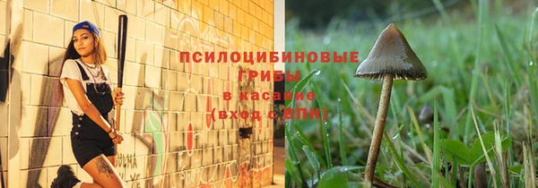 дживик Абаза