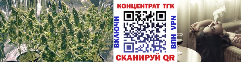 ТГК Wax Ковров