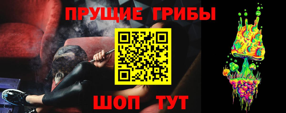 Ковров  Псилоцибиновые грибы Psilocybine cubensis  Вход с VPN 